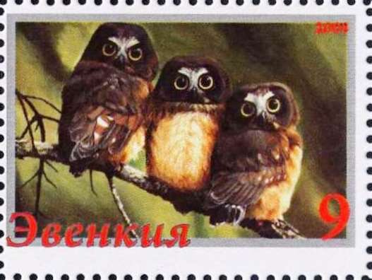 Owls