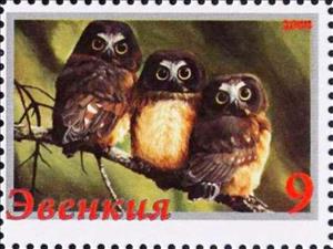 Stamp, Owls, Cinderellas,  , Animals (Fauna), Birds, Birds of Prey, Owls