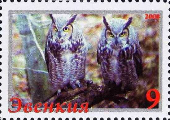 Owls