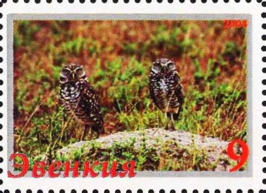 Owls
