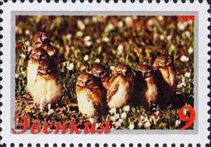 Stamp, Owls, Cinderellas,  , Animals (Fauna), Birds, Birds of Prey, Owls