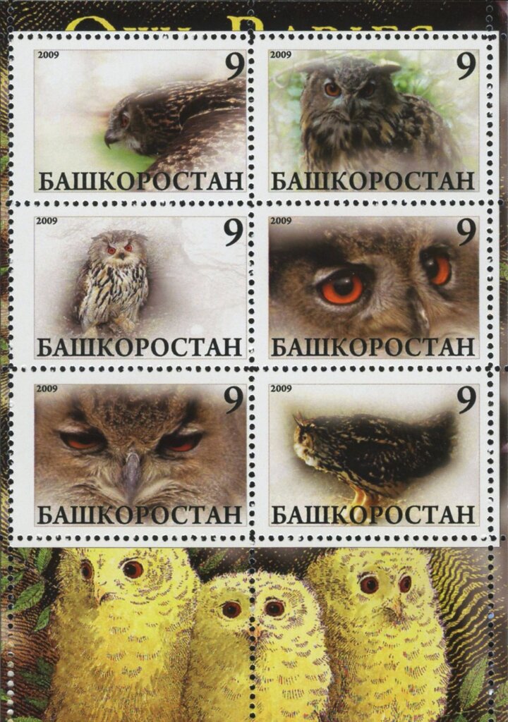 Owls