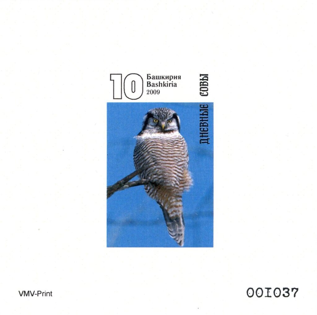 Owls