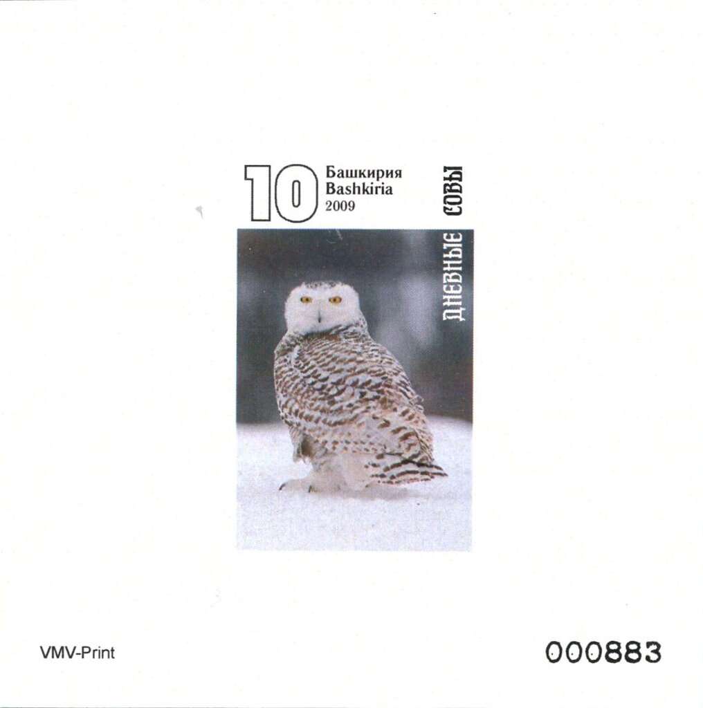 Owls
