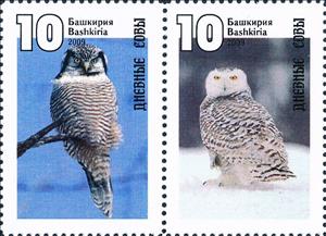 Se-tenant, Owls, Cinderellas,  , Animals (Fauna), Birds, Birds of Prey, Owls