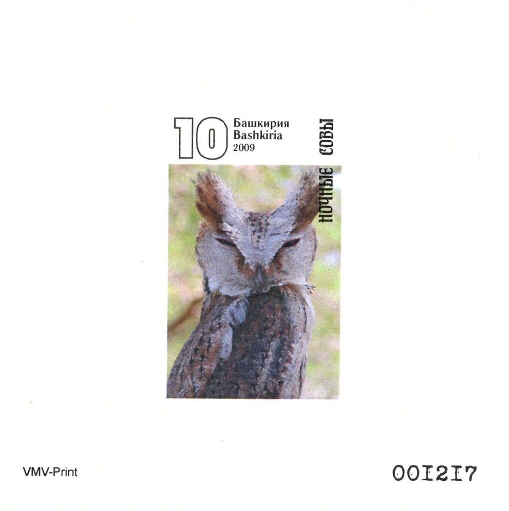 Owls