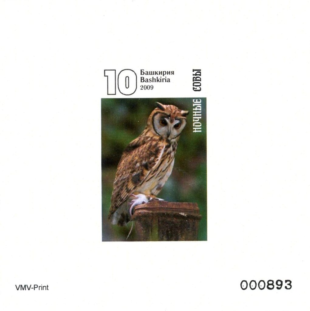 Owls