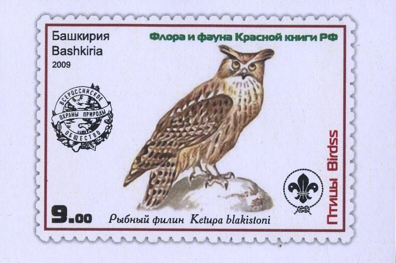 Owls