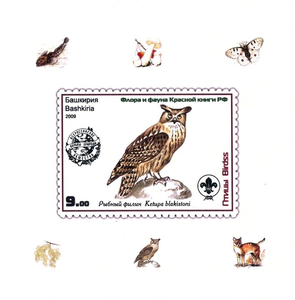 Owls