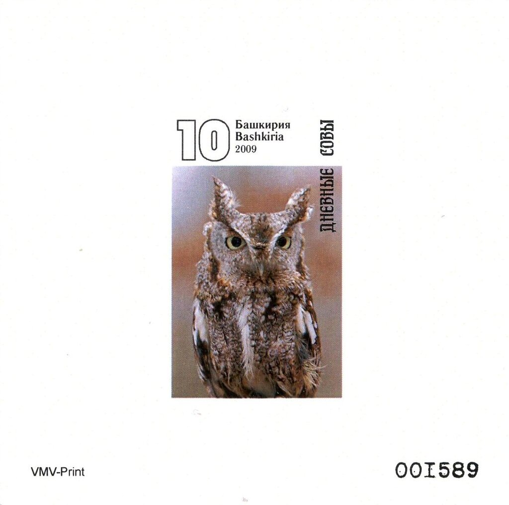 Owls