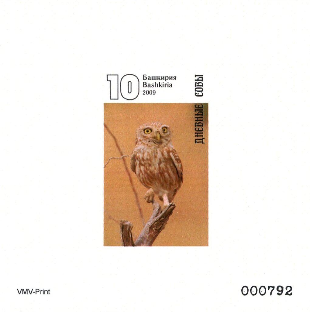 Owls