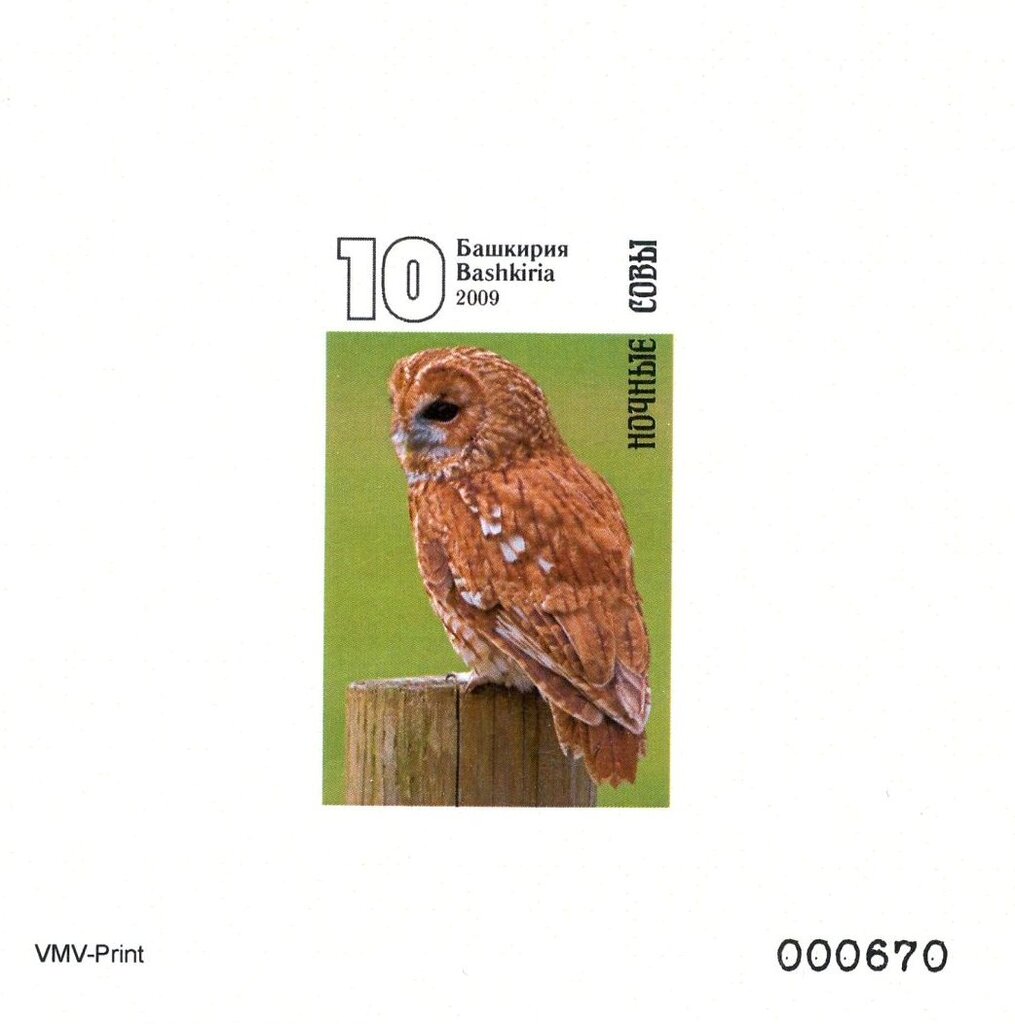 Owls