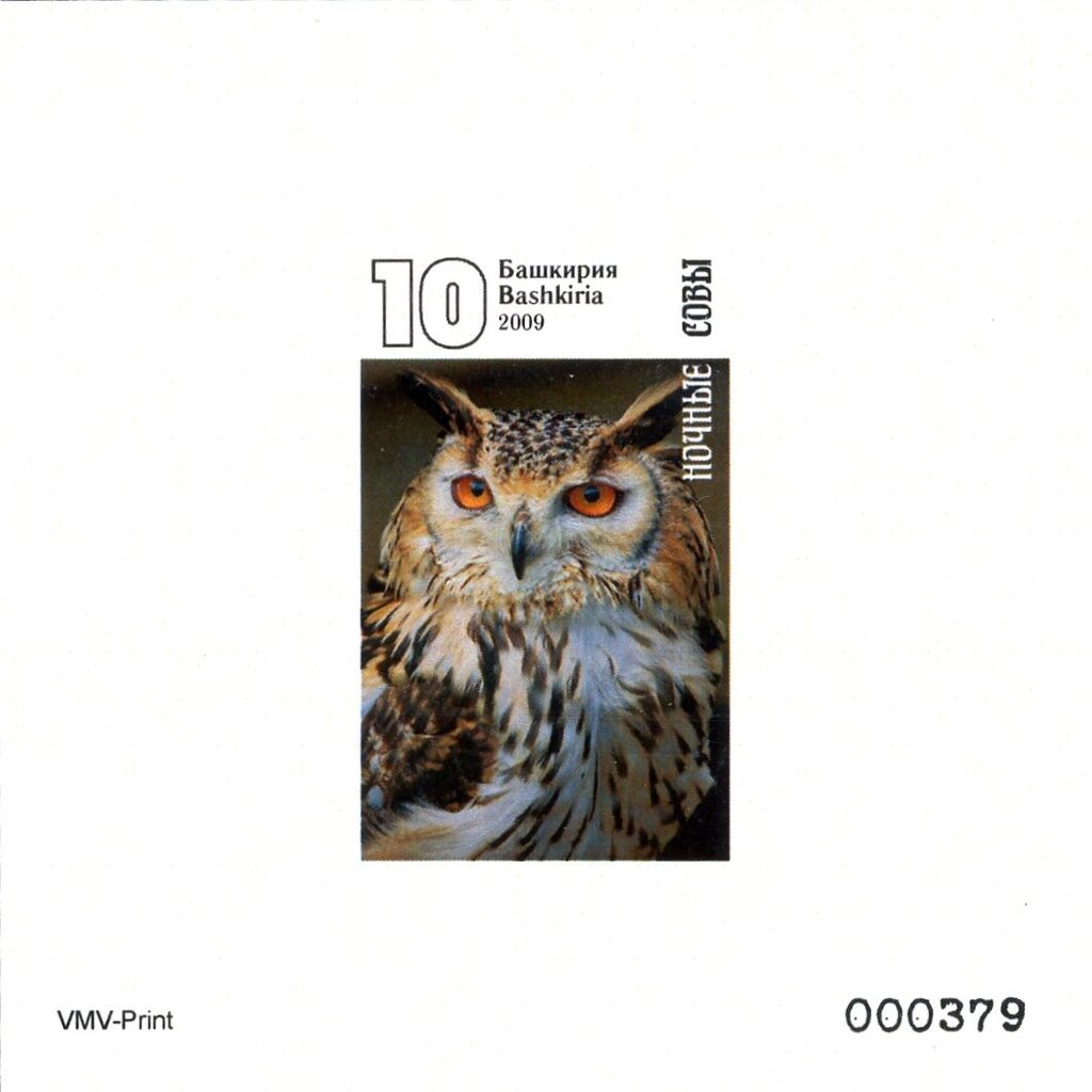 Owls