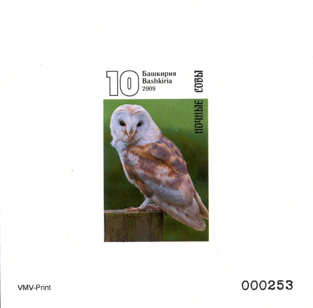 Owls