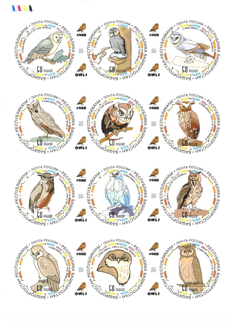 Owls