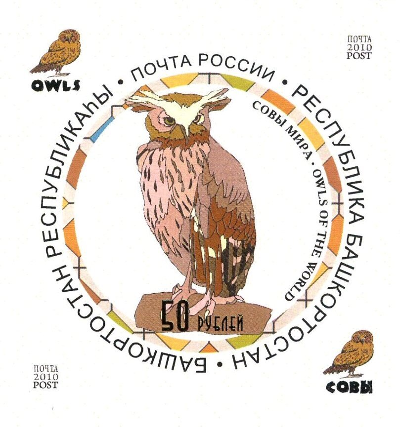 Owls