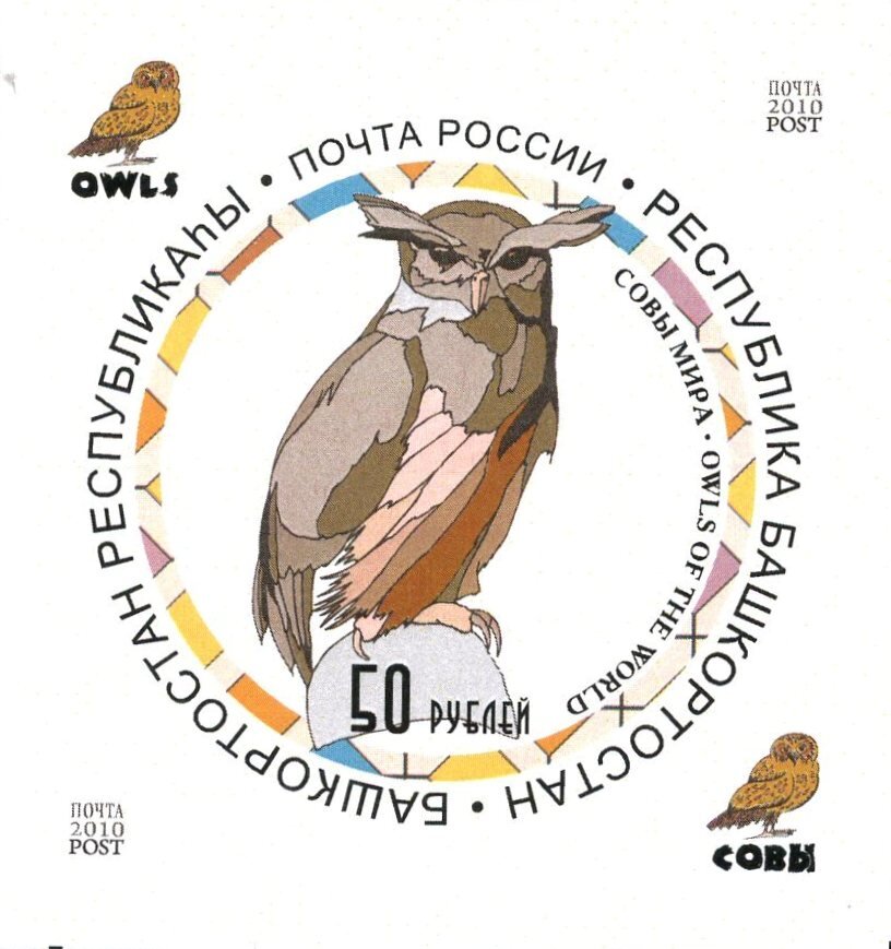 Owls