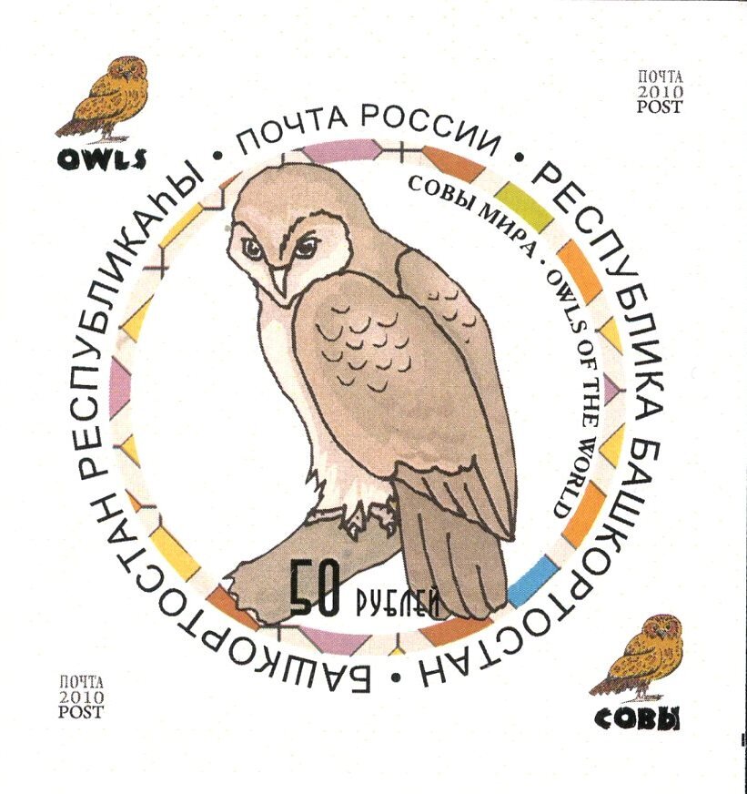 Owls