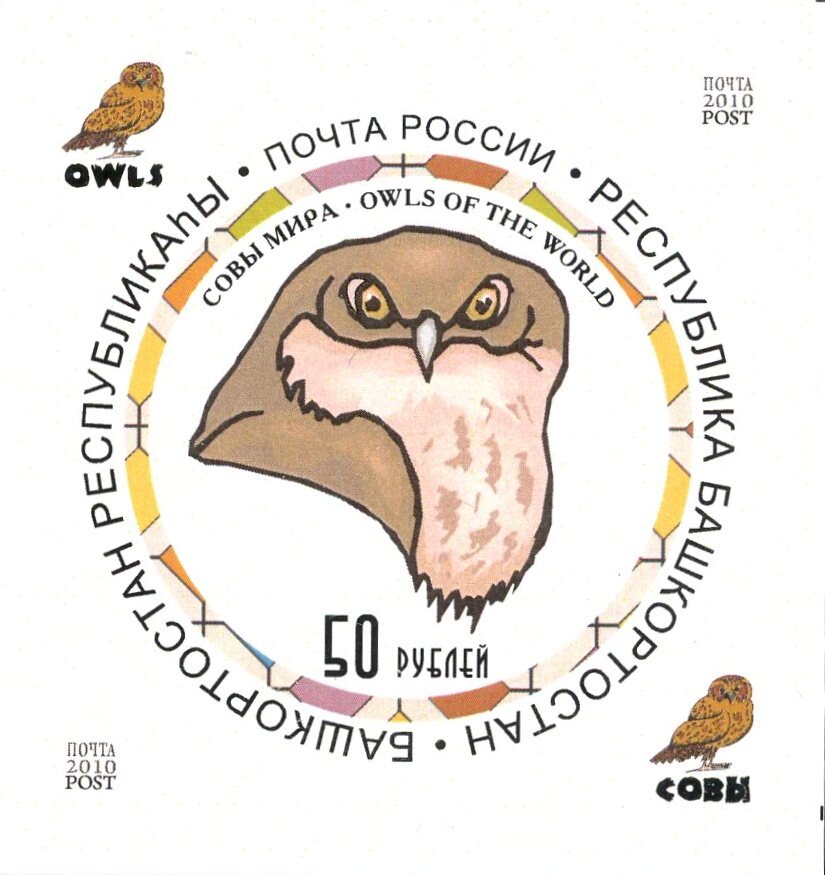 Owls