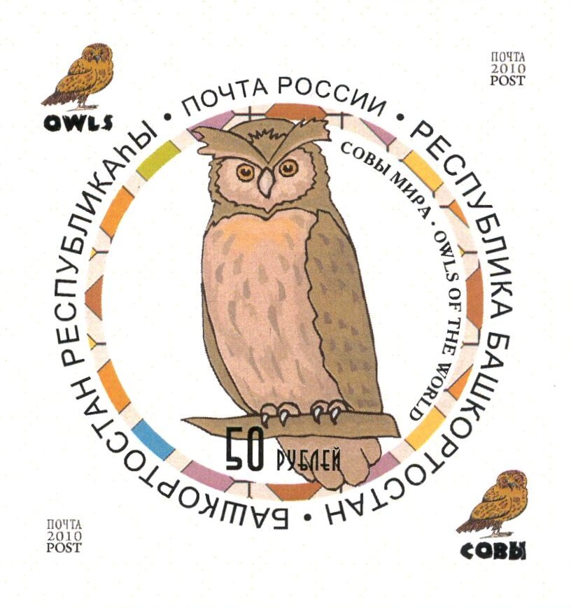 Owls