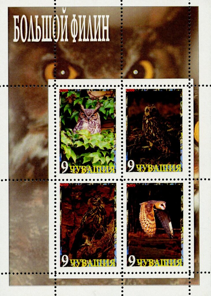 Owls