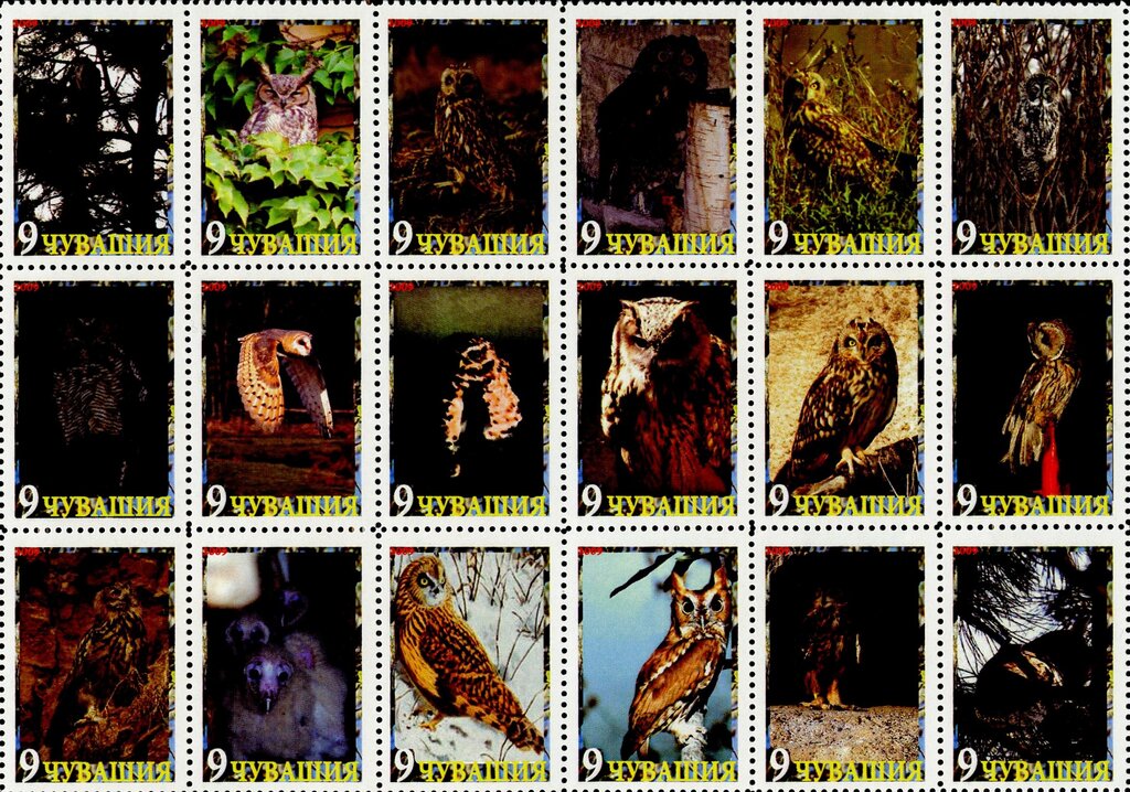 Owls