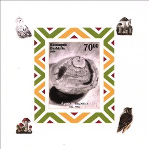 Souvenir Sheet, Owls and Mushrooms, Cinderellas,  , Animals (Fauna), Birds, Mushrooms, Owls