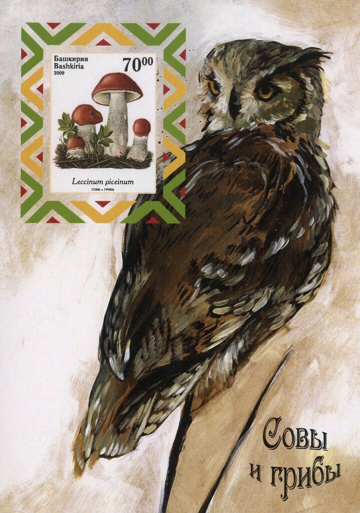 Owls and Mushrooms