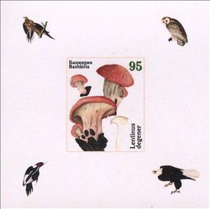 Souvenir Sheet, Owls and Mushrooms, Cinderellas,  , Animals (Fauna), Birds, Mushrooms, Owls