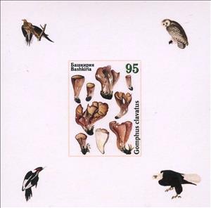 Souvenir Sheet, Owls and Mushrooms, Cinderellas,  , Animals (Fauna), Birds, Mushrooms, Owls