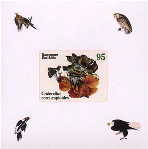 Souvenir Sheet, Owls and Mushrooms, Cinderellas,  , Animals (Fauna), Birds, Mushrooms, Owls