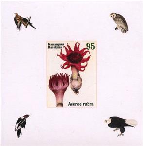 Souvenir Sheet, Owls and Mushrooms, Cinderellas,  , Animals (Fauna), Birds, Mushrooms, Owls