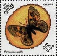 Parnassius apollo