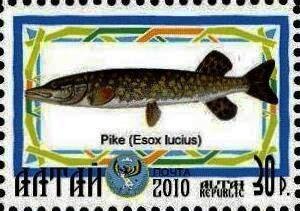 Stamp, Pike, Cinderellas,  , Animals (Fauna), Fishes