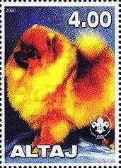Pomeranian