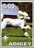 Stamp, Poodle, Cinderellas,  , Animals (Fauna), Dogs