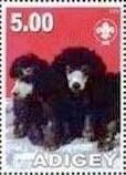 Poodle