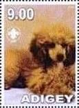 Stamp, Poodle, Cinderellas,  , Animals (Fauna), Dogs