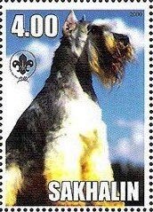 Schnauzer