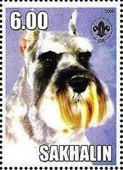 Stamp, Schnauzer, Cinderellas,  , Animals (Fauna), Dogs