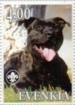 Stamp, Staffordshire Bull Terrier, Cinderellas,  , Animals (Fauna), Dogs