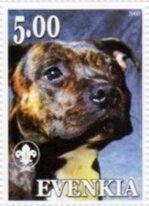 Staffordshire Bull Terrier
