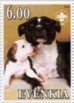 Stamp, Staffordshire Bull Terrier, Cinderellas,  , Animals (Fauna), Dogs