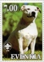 Staffordshire Bull Terrier