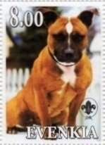 Staffordshire Bull Terrier