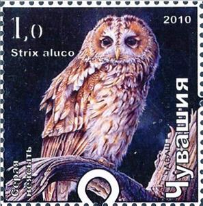 Stamp, Tawny owl, Cinderellas,  , Animals (Fauna), Birds, Birds of Prey, Owls
