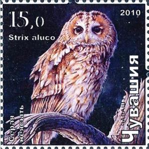 Stamp, Tawny owl, Cinderellas,  , Animals (Fauna), Birds, Birds of Prey, Owls