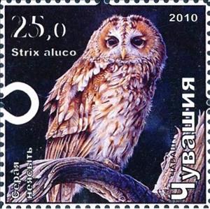 Stamp, Tawny owl, Cinderellas,  , Animals (Fauna), Birds, Birds of Prey, Owls