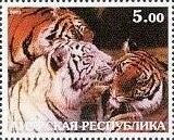Stamp, Tiger, Cinderellas,  , Animals (Fauna), Tigers, Wild Cats