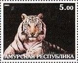 Stamp, Tiger, Cinderellas,  , Animals (Fauna), Tigers, Wild Cats